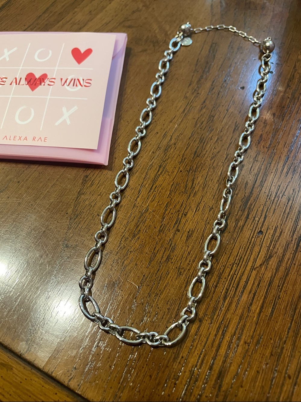 New in Pouch By Alexa Rae Silver Link Winona Necklace